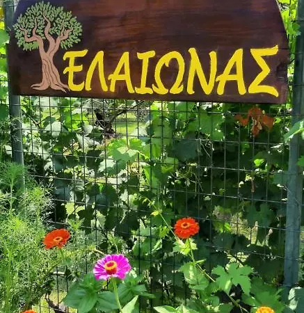 Eleonas 네아 로다